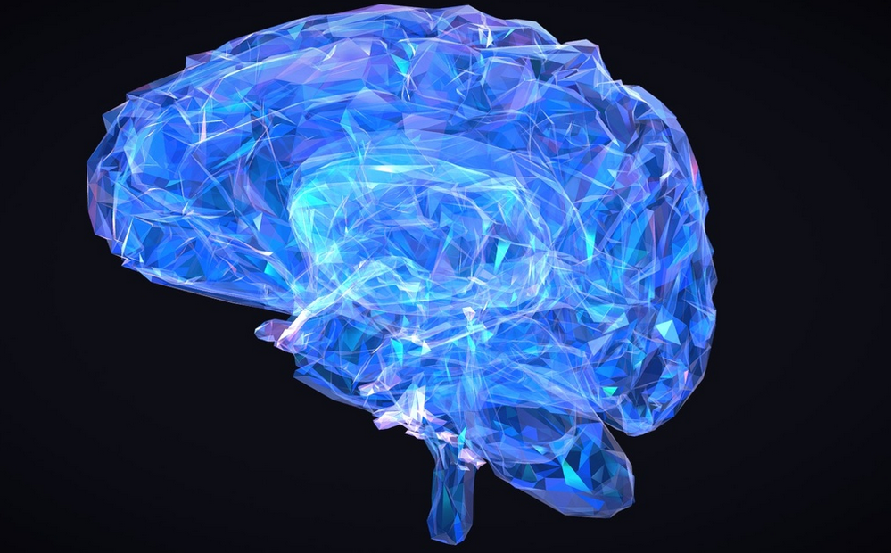 转驻注讜诇 讞讻诐 讜讗讜讟讜谞讜诪讬